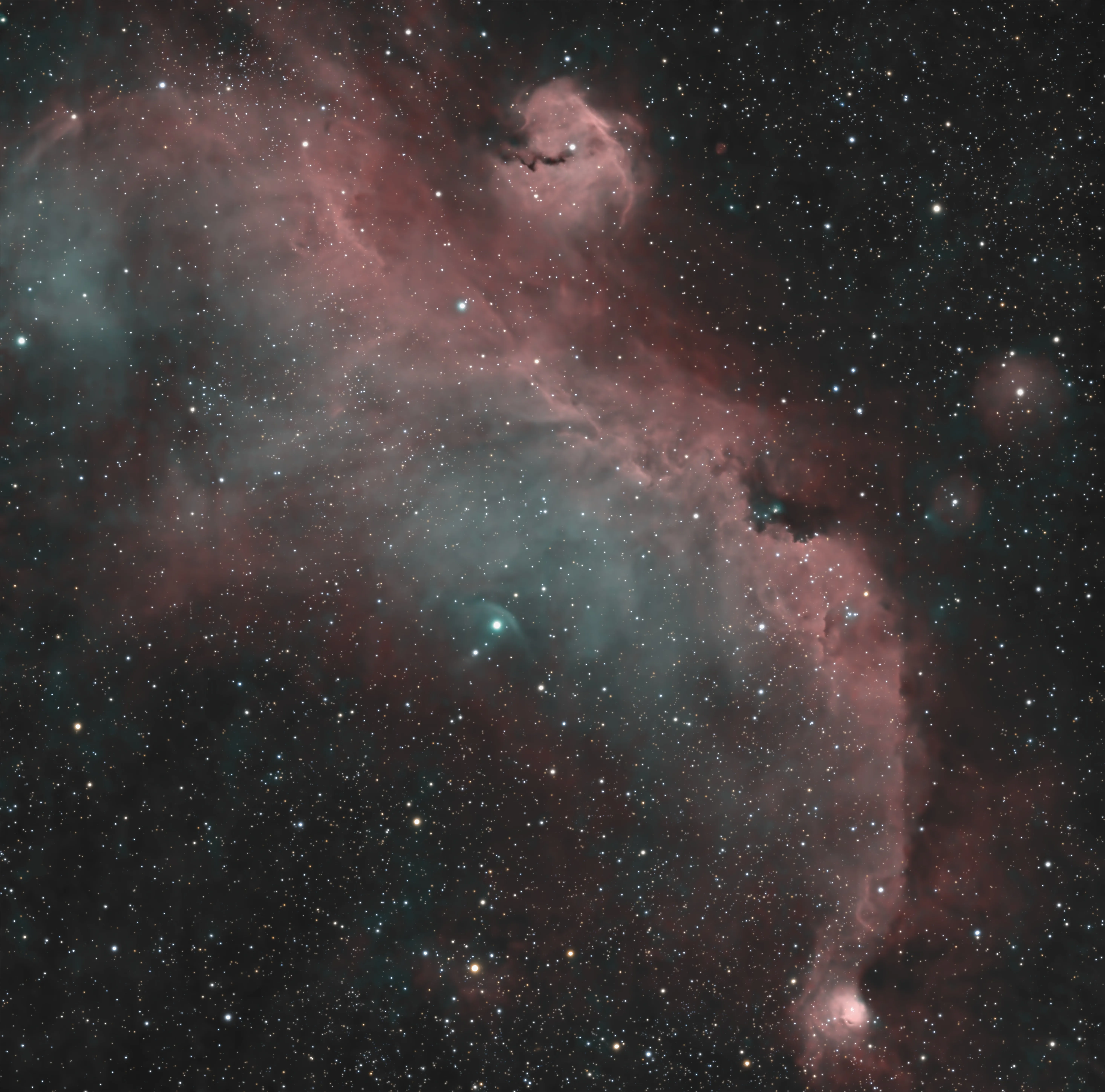 Seagull Nebula (IC 2177)